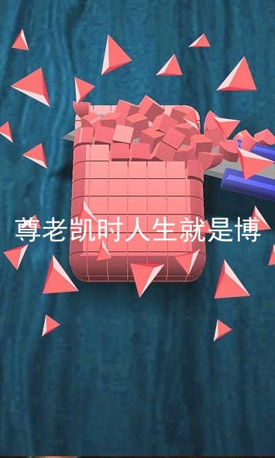 尊老凯时人生就是博