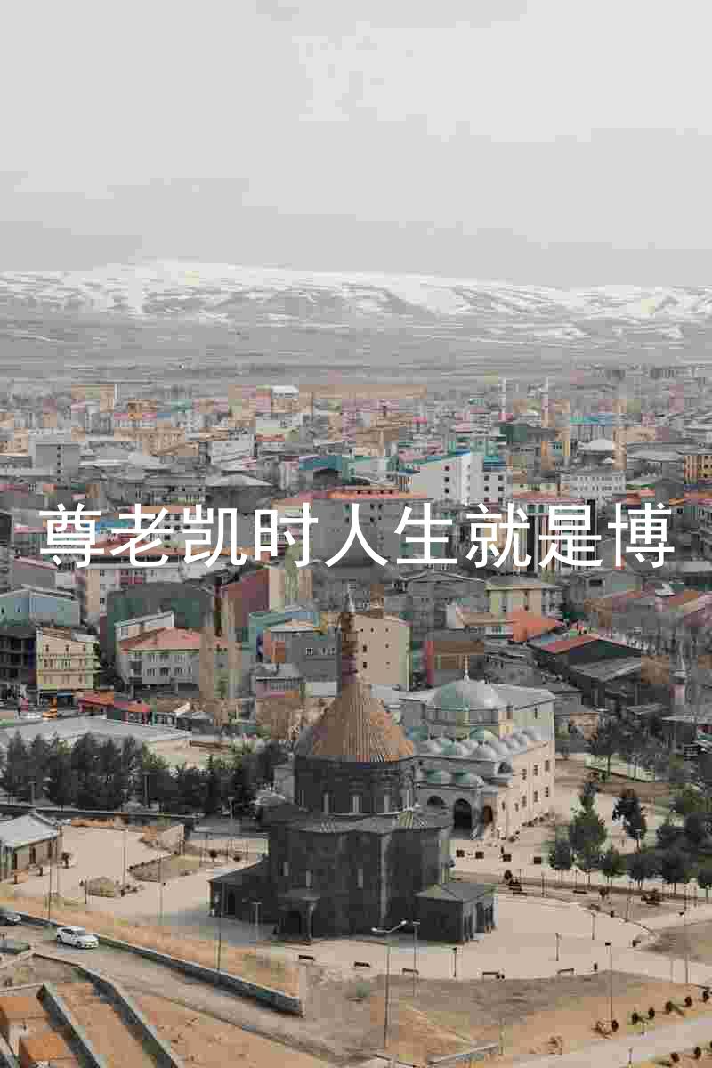 尊老凯时人生就是博