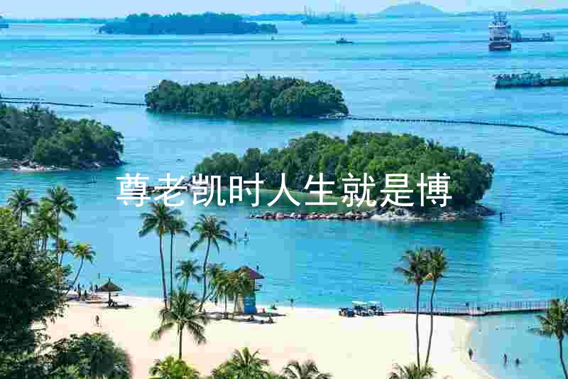 尊老凯时人生就是博
