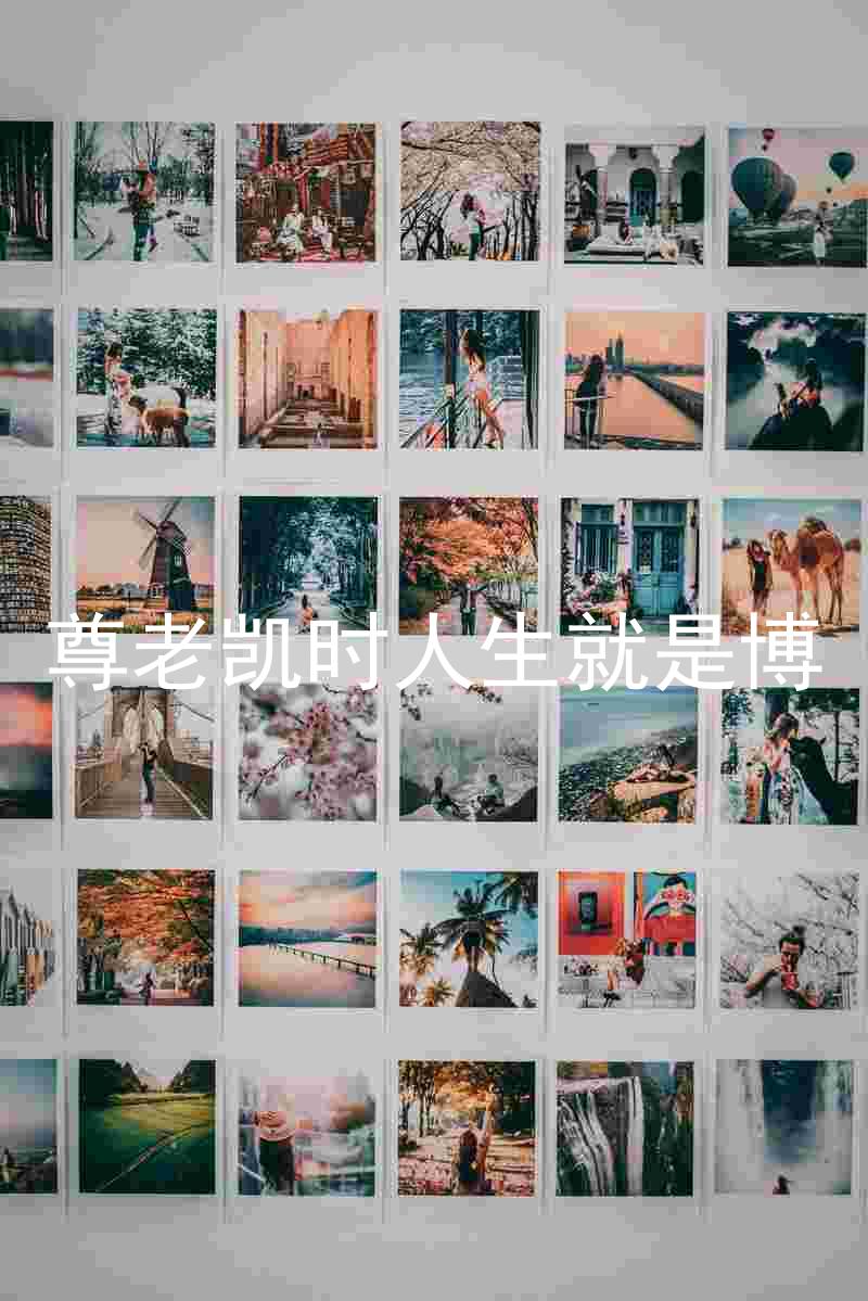 尊老凯时人生就是博