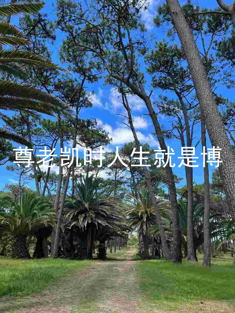 尊老凯时人生就是博