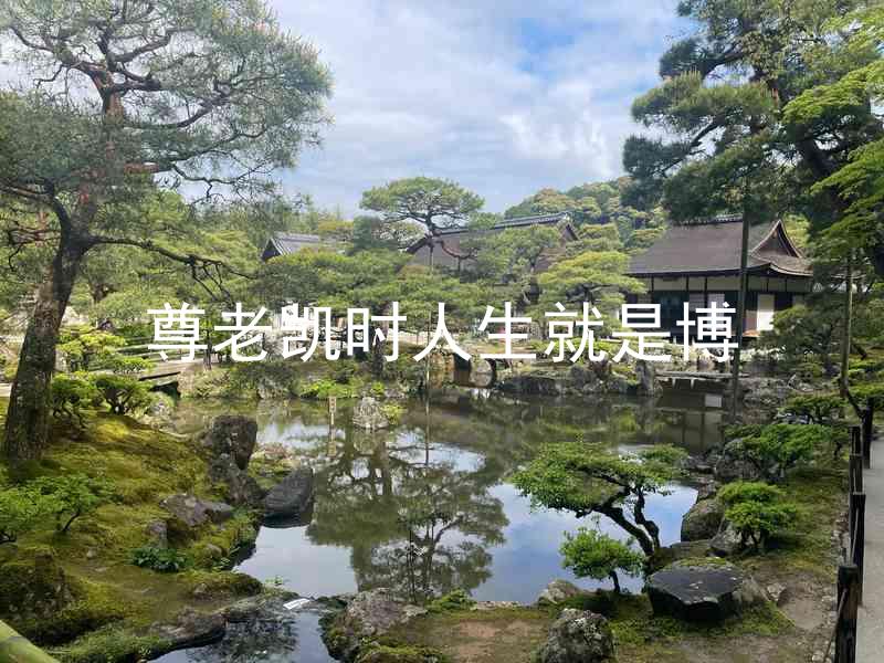 尊老凯时人生就是博