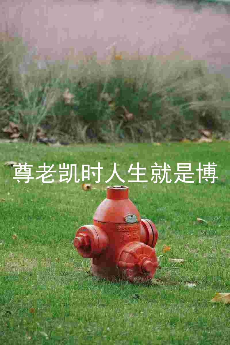 尊老凯时人生就是博