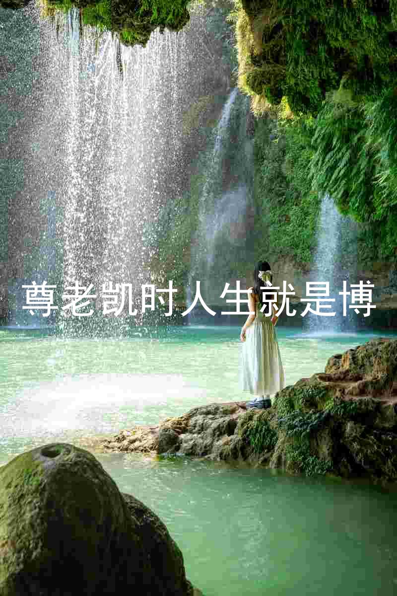 尊老凯时人生就是博