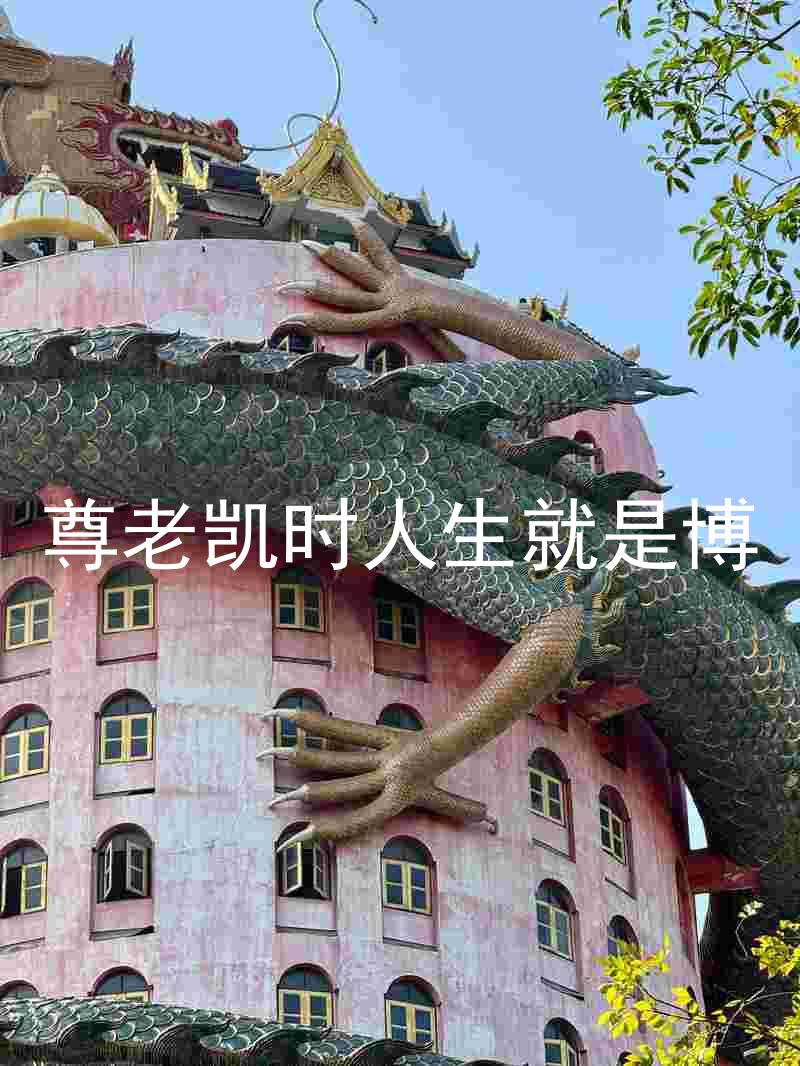 尊老凯时人生就是博