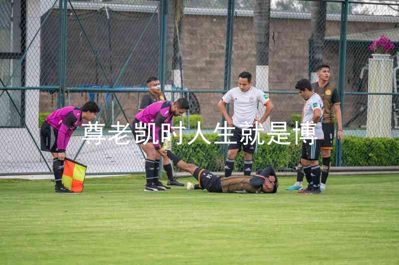 尊老凯时人生就是博