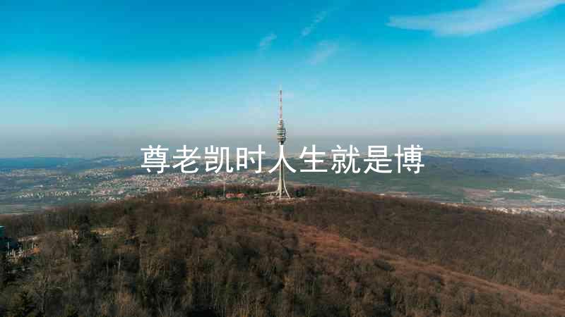 尊老凯时人生就是博