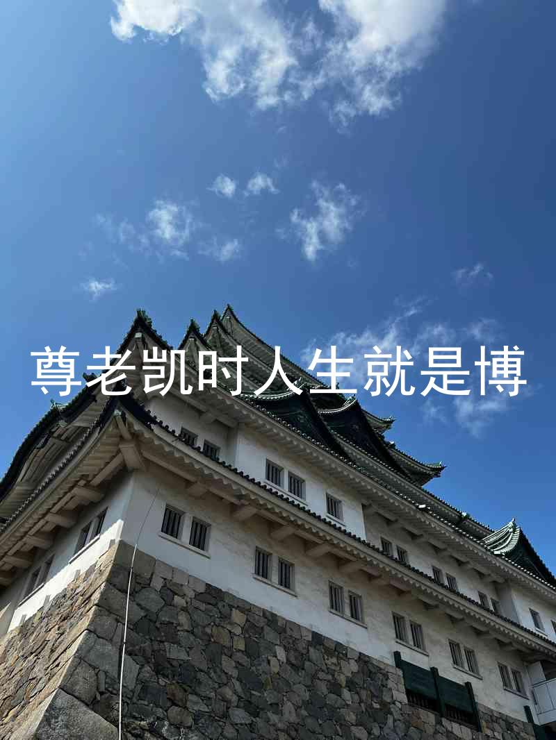 尊老凯时人生就是博